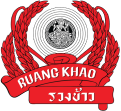 logo dark